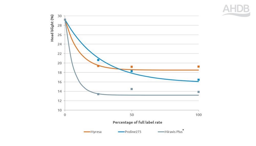 Fusarium head blight fungicide performance response chart 2024